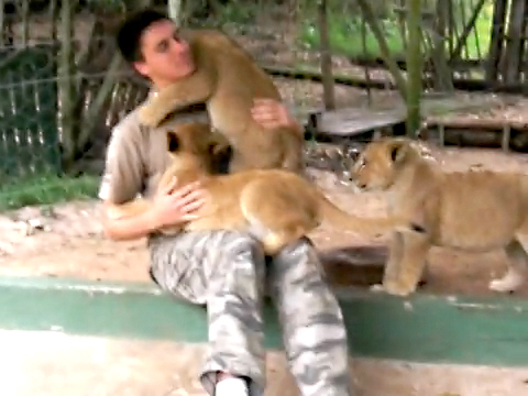 ���C�I���̐Ԃ����B�ƋY���j�̓���b�I