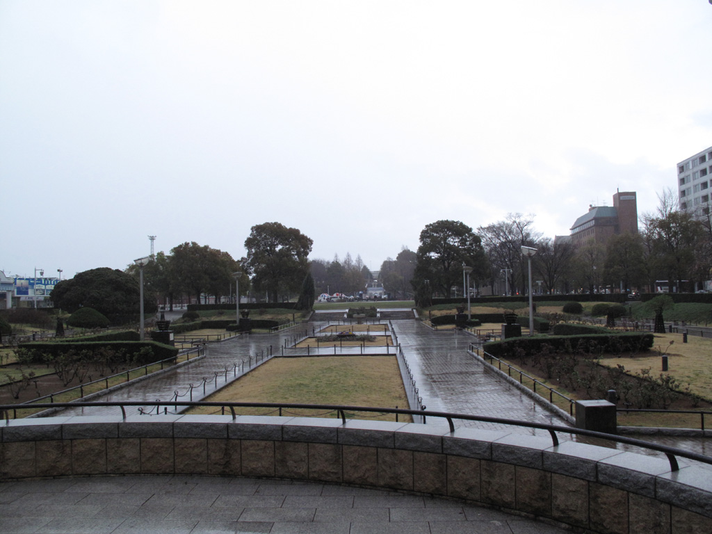 ���l����V�P�S�@���R��������