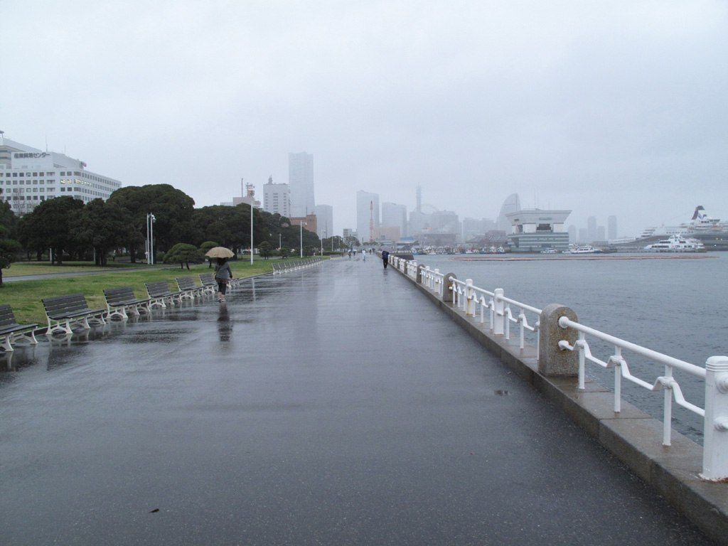 ���l����V�Q�Q�@���J�̉��l�`��