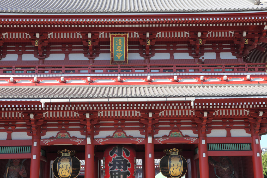 ��������V�P�T�@���󑐎���