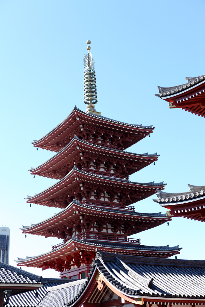 ��������V�P�U�@���󑐎���