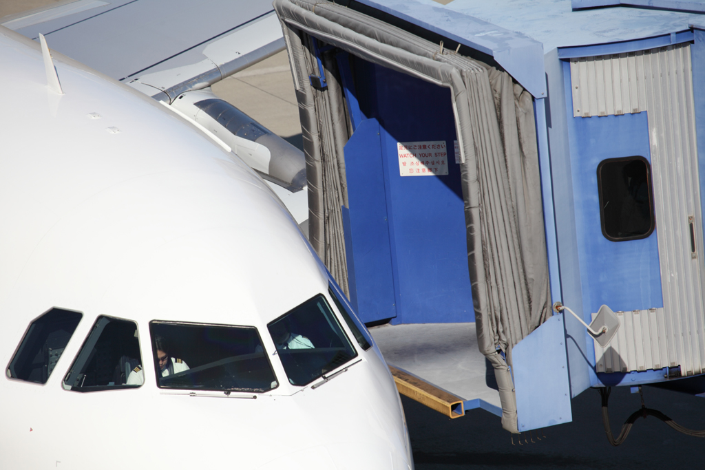 ���S�����̗��T�@���Z���g���A��