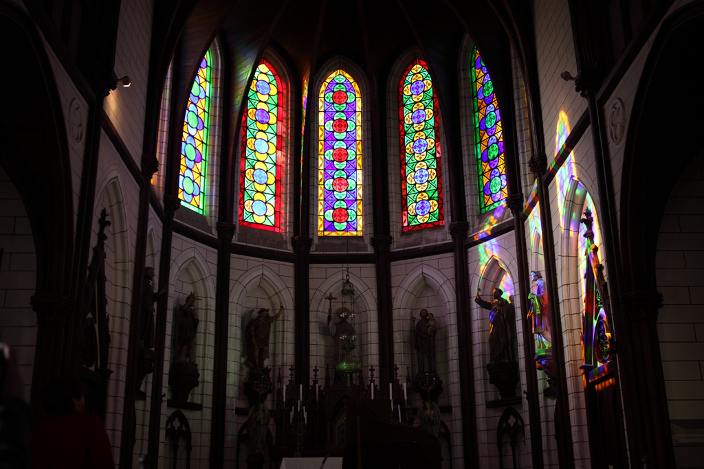 ���S�����̗��P�T�@����������