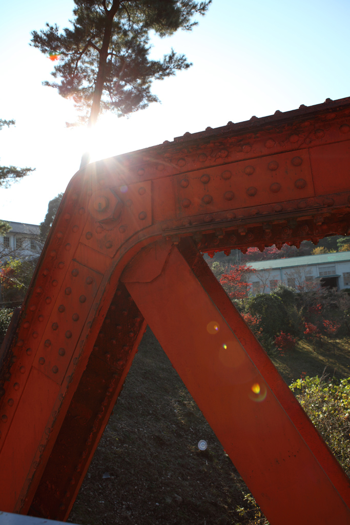 ���S�����̗��P�V�@����������