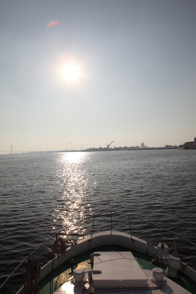 ���É��`�P���e�ێB�e�P�V