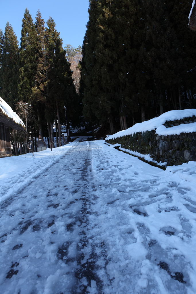 �~�̔��싽�R