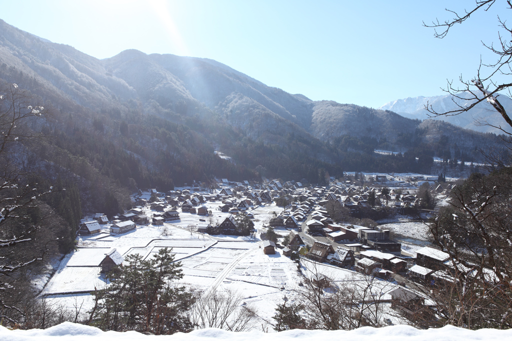 �~�̔��싽�S