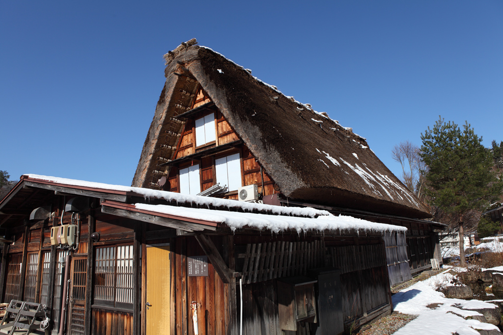 �~�̔��싽�T