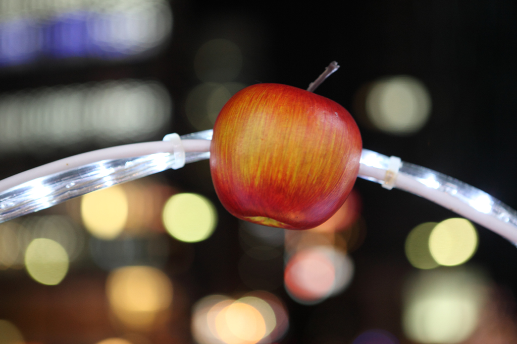 ���É��w�C���~�l�[�V�����R