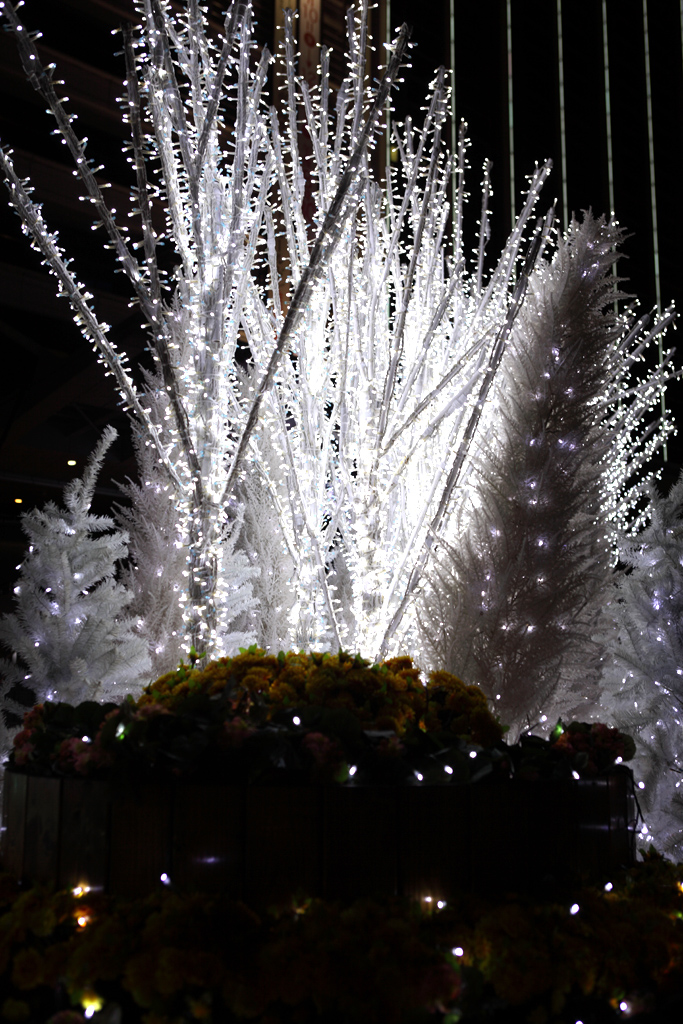 ���É��w�C���~�l�[�V�����U