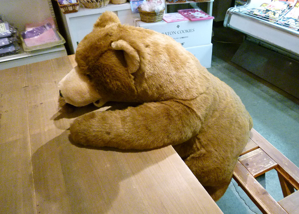 �k�C������V��17