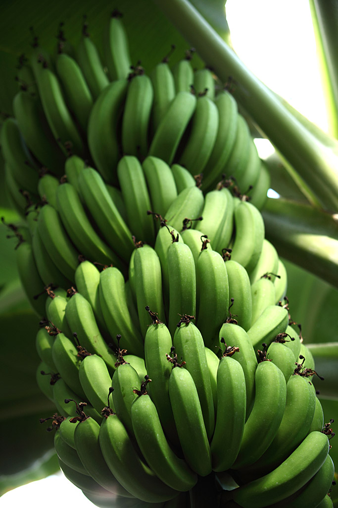 �k�C������V��60