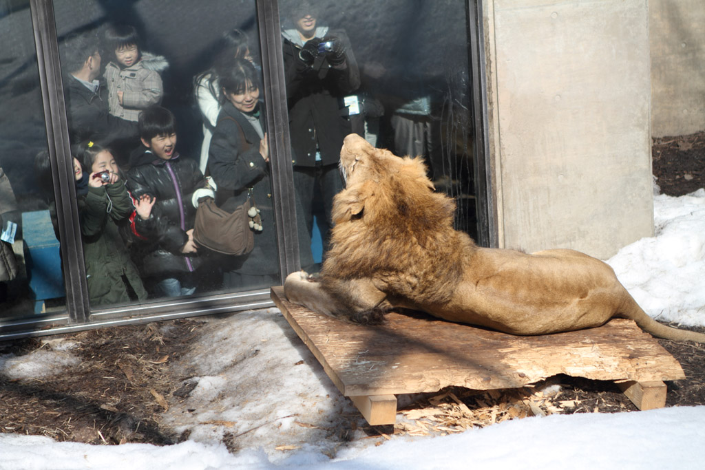 �k�C������V��78