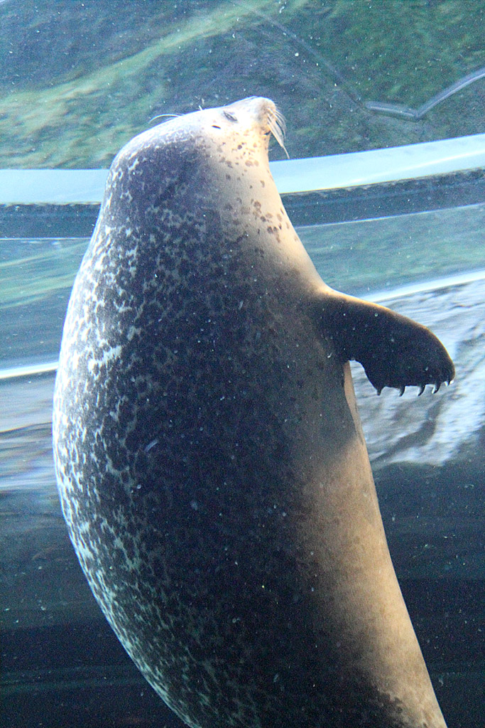 �k�C������V��79