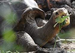 �]�E�K���́u�����T���E�W���[�W�v���剝���I�I