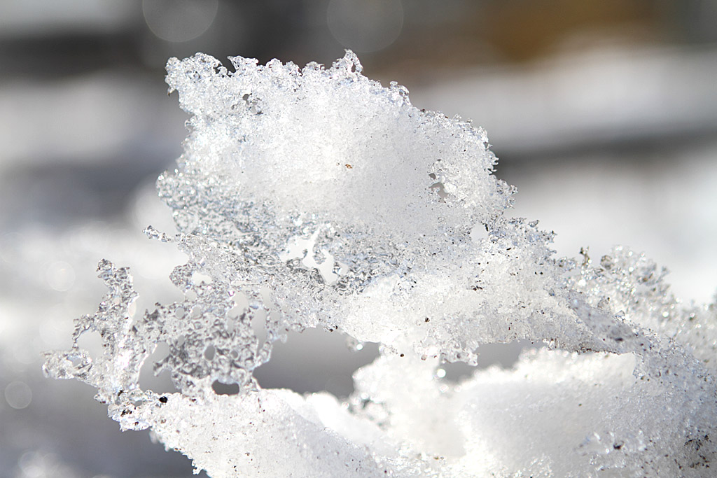 �k�C������V��83