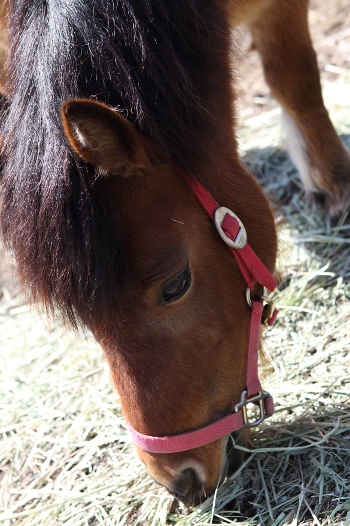 �k�C������V��86