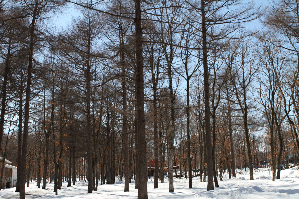 �k�C������V��87