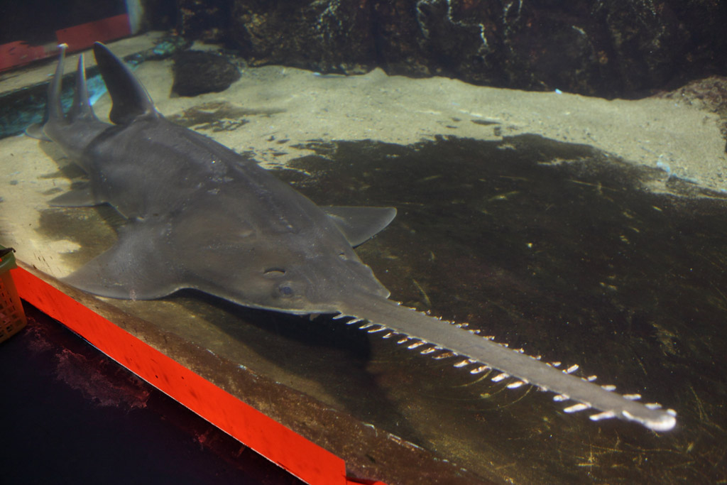 �ɐ��u�����V3