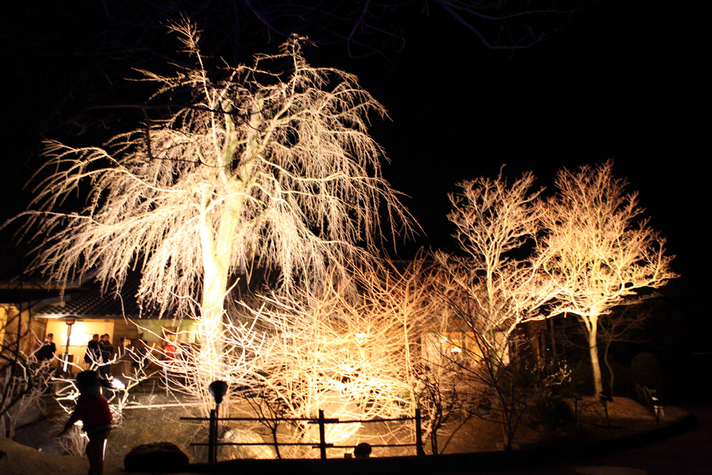 �Ȃ΂Ȃ̗��E�B���^�[�C���~�l�[�V����4