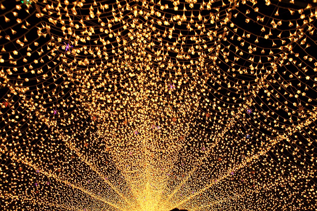 �Ȃ΂Ȃ̗��E�B���^�[�C���~�l�[�V����6