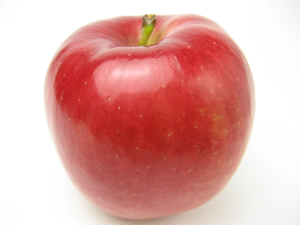 ���E��ς���3�̗ь� �F �C����U�f�����ь�A�j���[�g�������� �ь�A�����ăW���u�Y�̗ь�