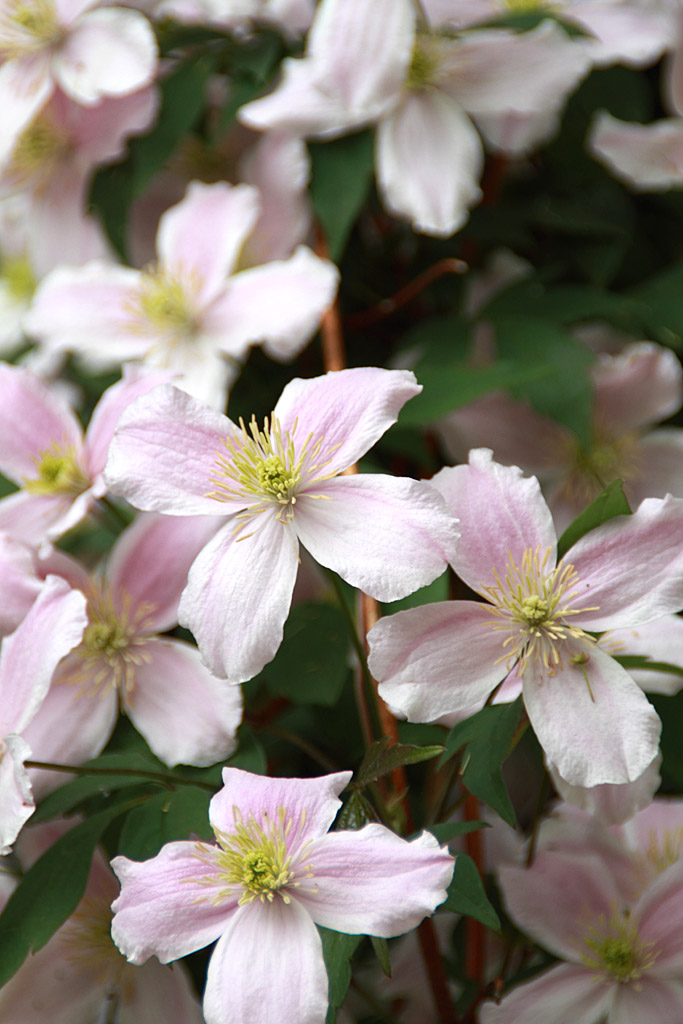 �����n�@����3