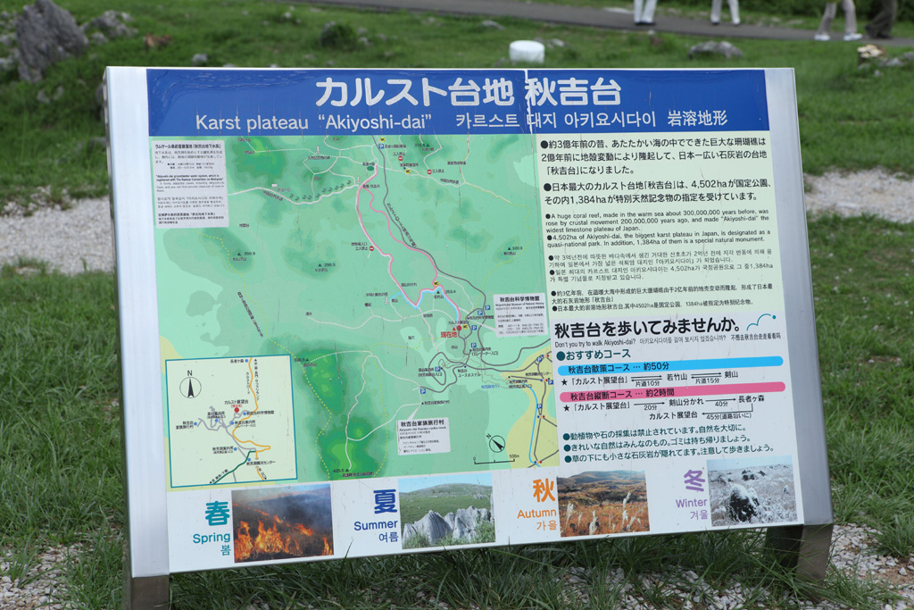 �R�A�R�z�V���[�Y�@�H�g��2