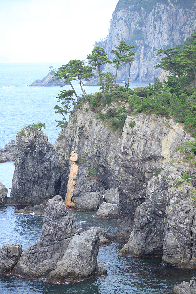 �R�A�R�z���V�V���[�Y�@�C��4