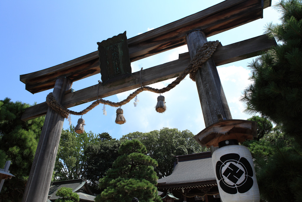 �R�A�R�z���V�V���[�Y�@���i�͂��j5