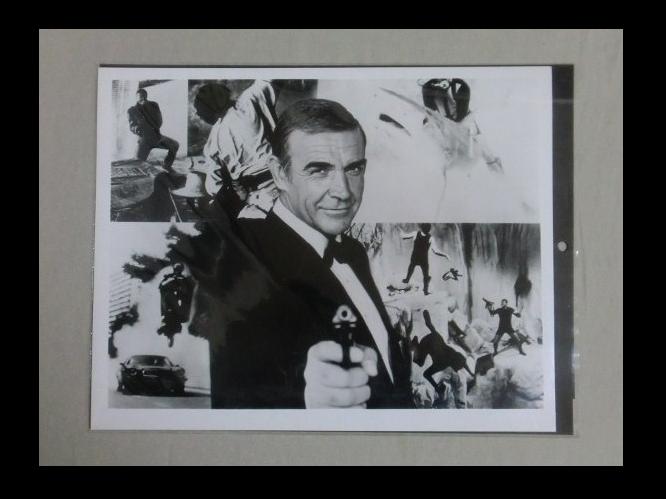 007�@����@�W�F�[���Y�E�{���h�@�V���[���E�R�l���[�@�ʐ^