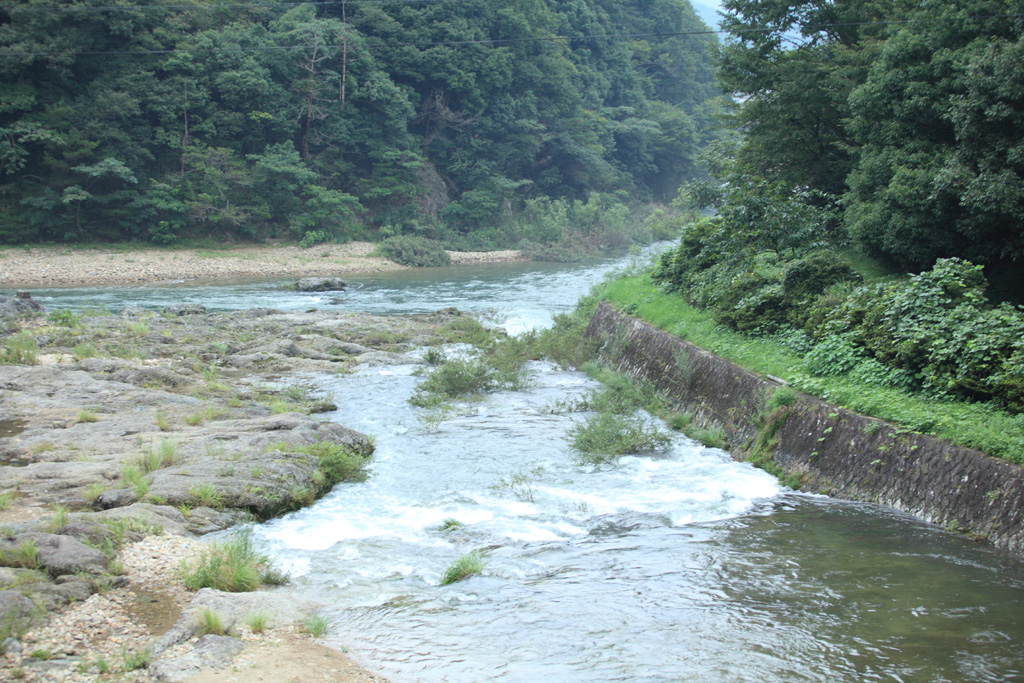 �R�z�R�A���V�ҁ@�e�N�j�b�N2