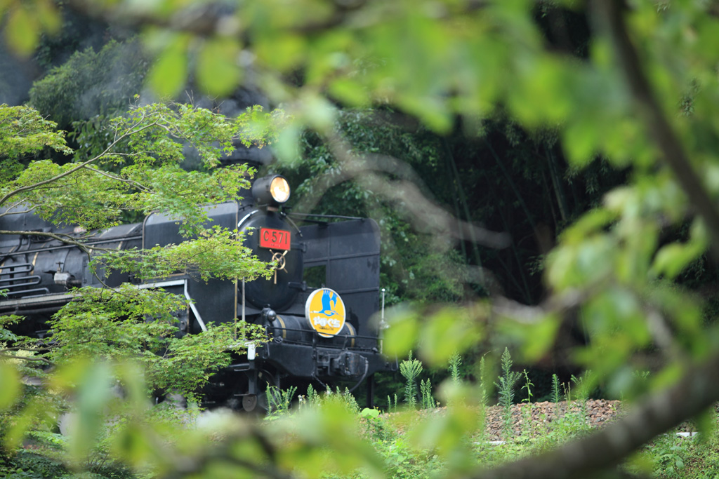 �R�z�R�A���V�ҁ@�e�N�j�b�N3