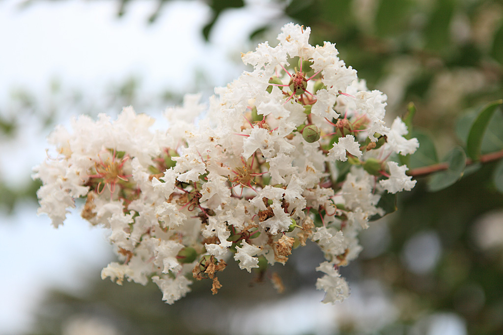 �R�z�R�A���V�ҁ@�@�ڗ�����3