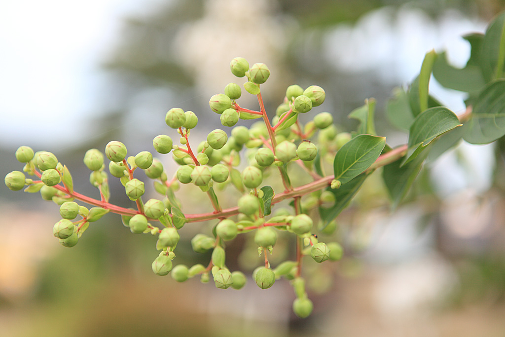 �R�z�R�A���V�ҁ@�@�ڗ�����4