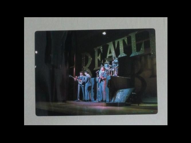 �r�[�g���Y�@���~��