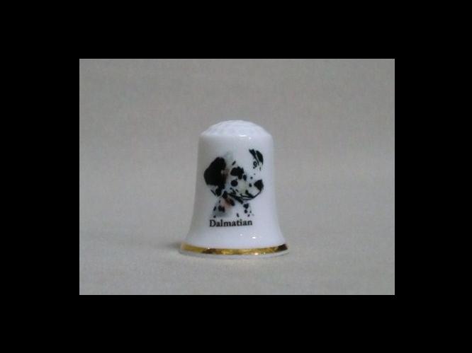 �{�[���`���C�i�@�_�����V�A���@�w�сi�V���u���j