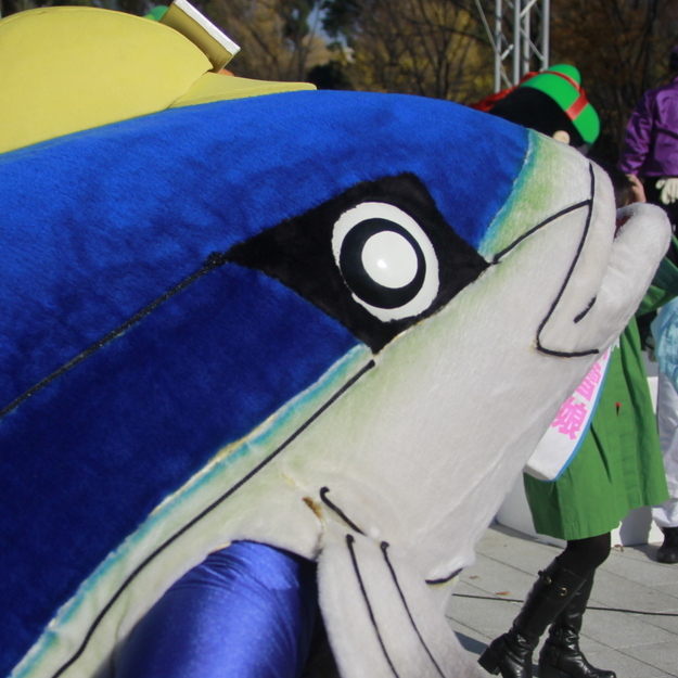 �u���J�c����