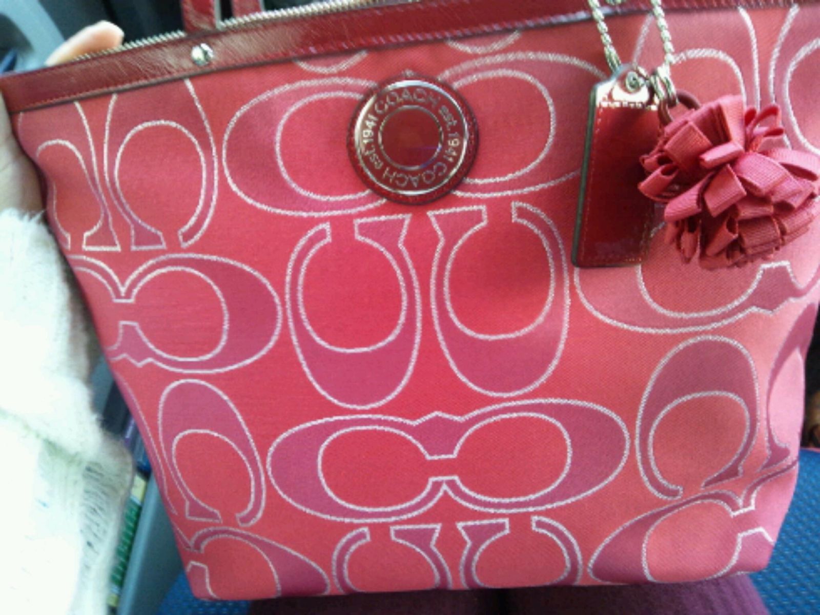 AJł̂`fU[gqYEv~AEAEgbgł̍wi`