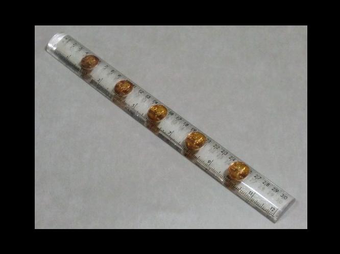 �A�����J���G�݁@�R�C������@��K/���̂���