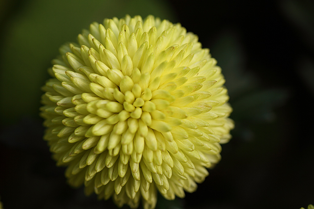 ����߰��@�P�S