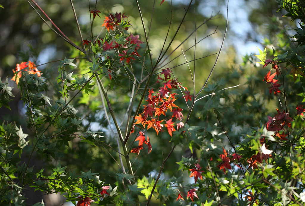 ����߰��@�P�U