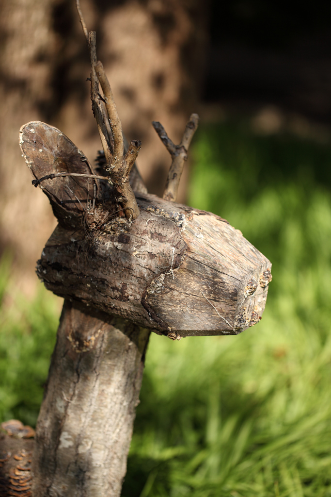 ����߰��@�P�V