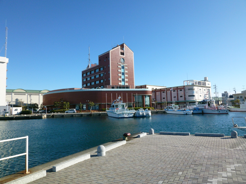 �É������`����±��@�T