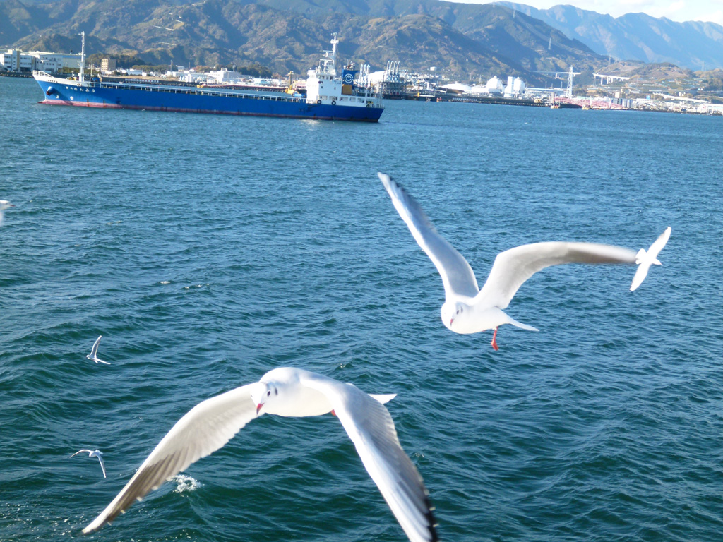 �É������`����±��@�V