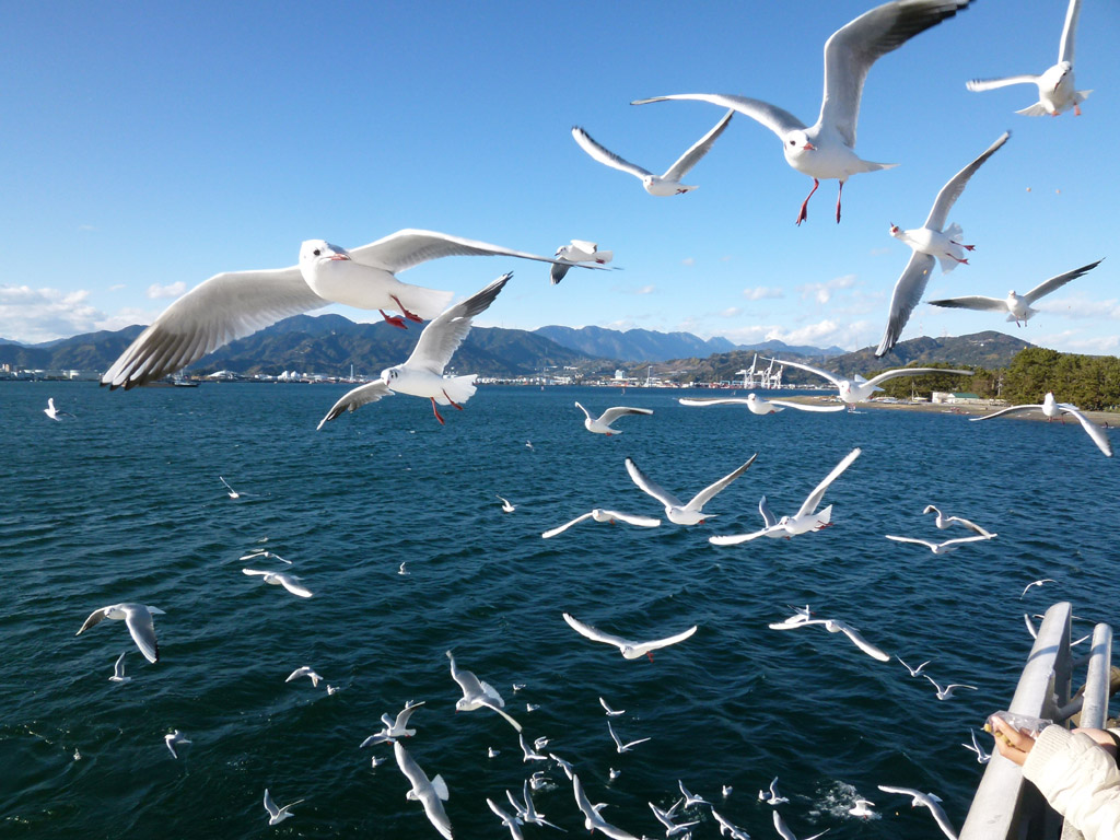 �É������`����±��@�W