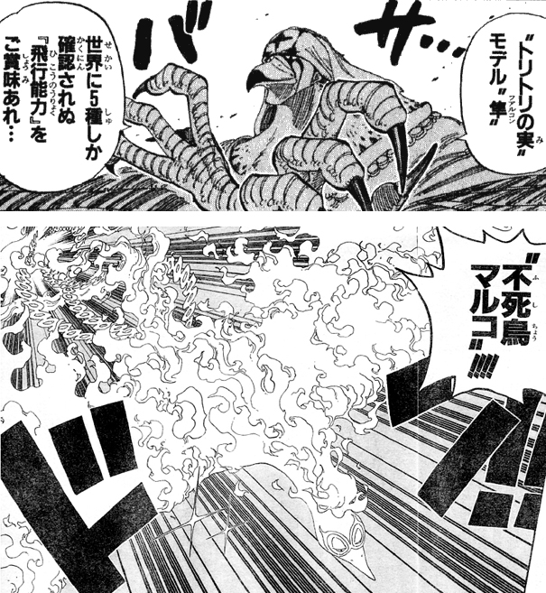 l^摜
