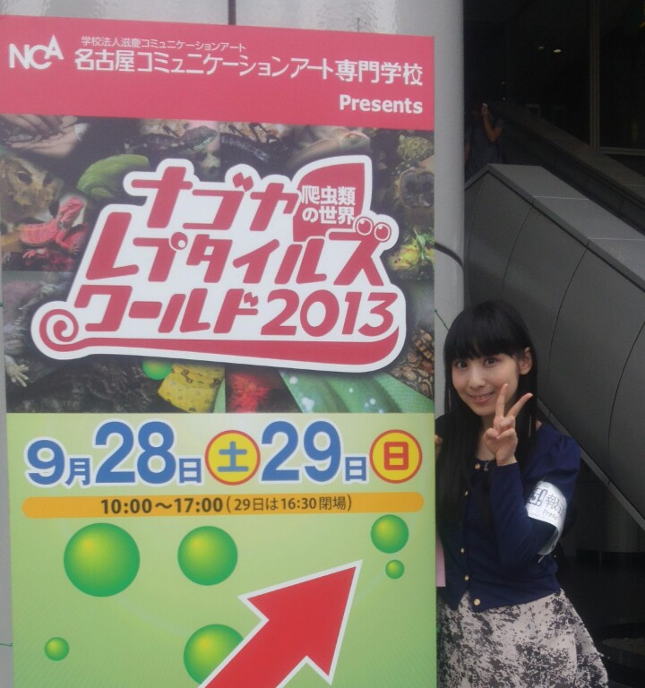 �u�i�S�����v�^�C���Y���[���h2013�v���A�܂ɂ����Ŏ�ށI