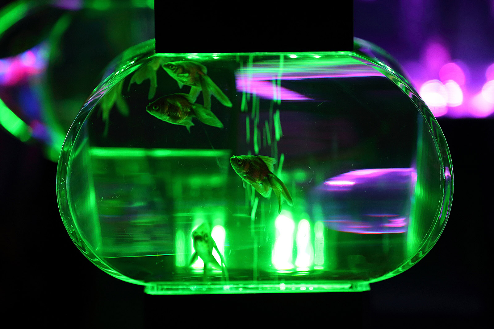 �A�N�A���E���W15