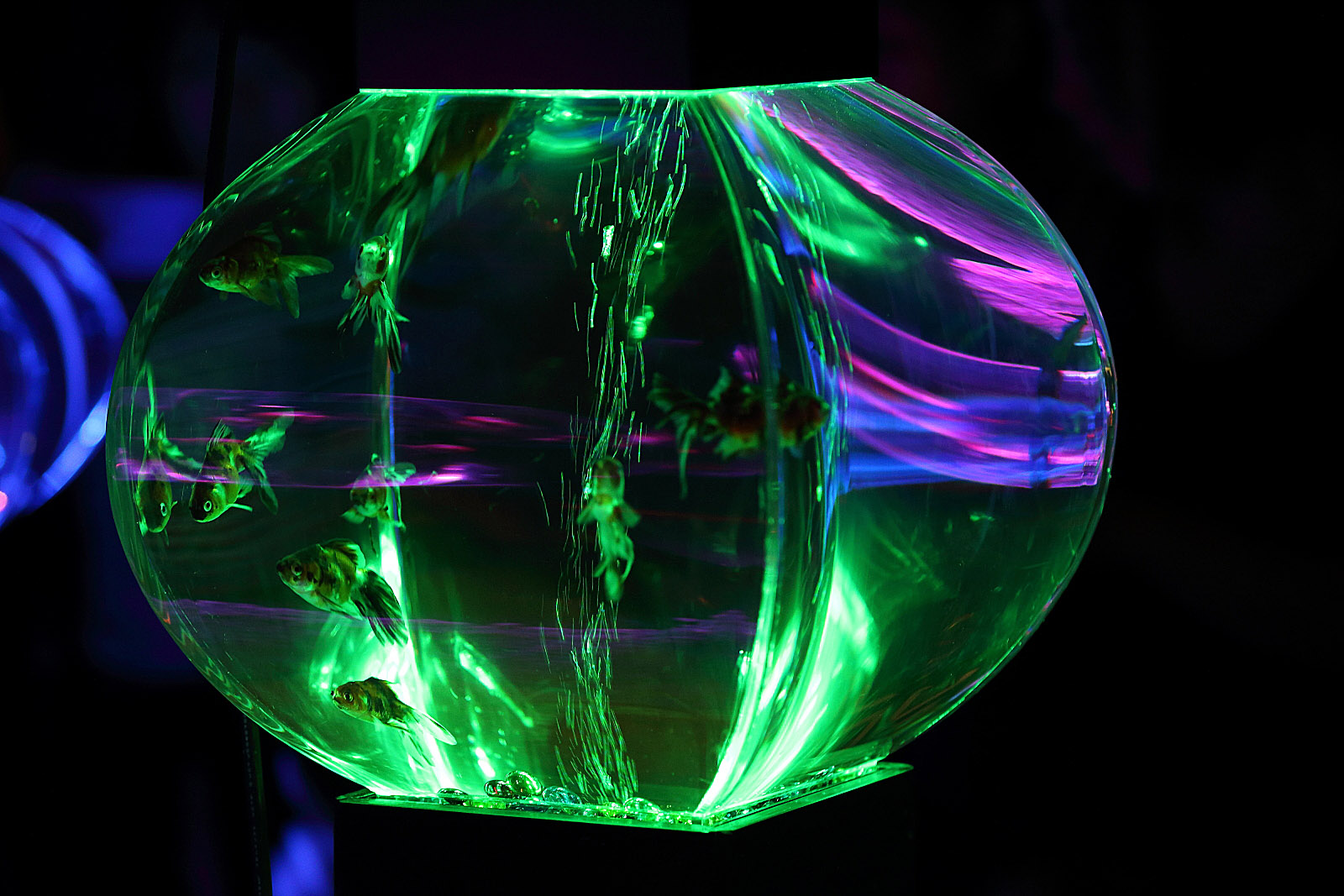 �A�N�A���E���W16